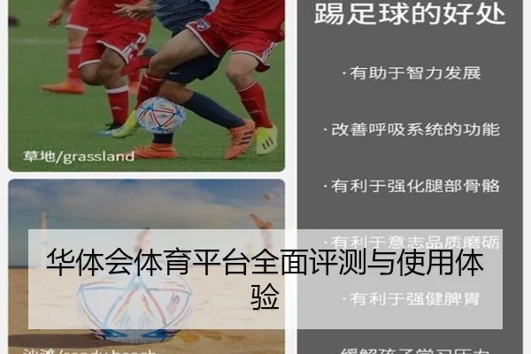 华体会体育平台全面评测与使用体验